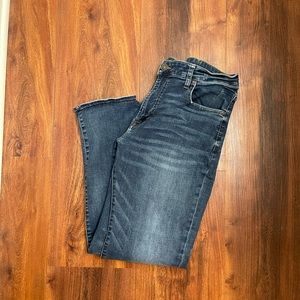 American Eagle Outfitters Mens Original Straight Jean